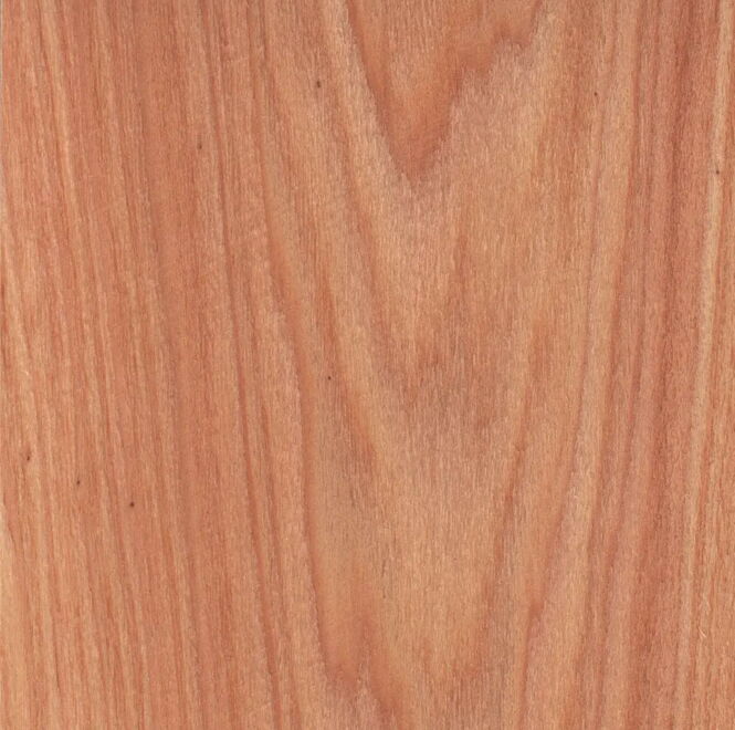 Cypress - Plain Sliced