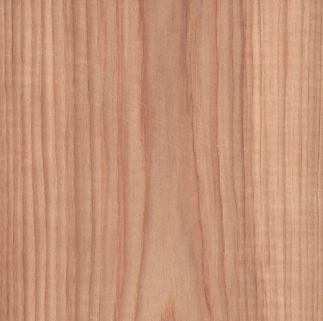 Hickory - Plain Sliced