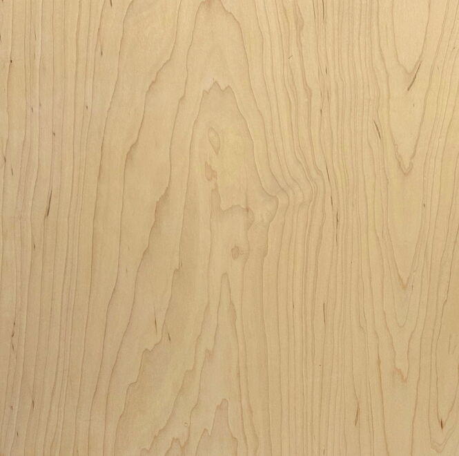 Maple - Rotary Cut