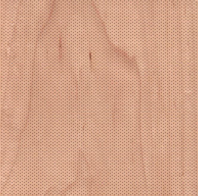 Maple - Plain Sliced