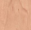 Maple - Plain Sliced
