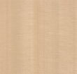Poplar - Quartered Cut