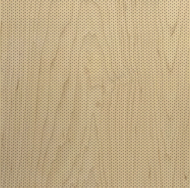 Maple - Rotary Cut