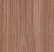 Hickory - Plain Sliced