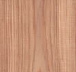 Hickory - Plain Sliced