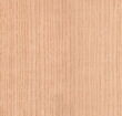 Ash - Quartered Cut